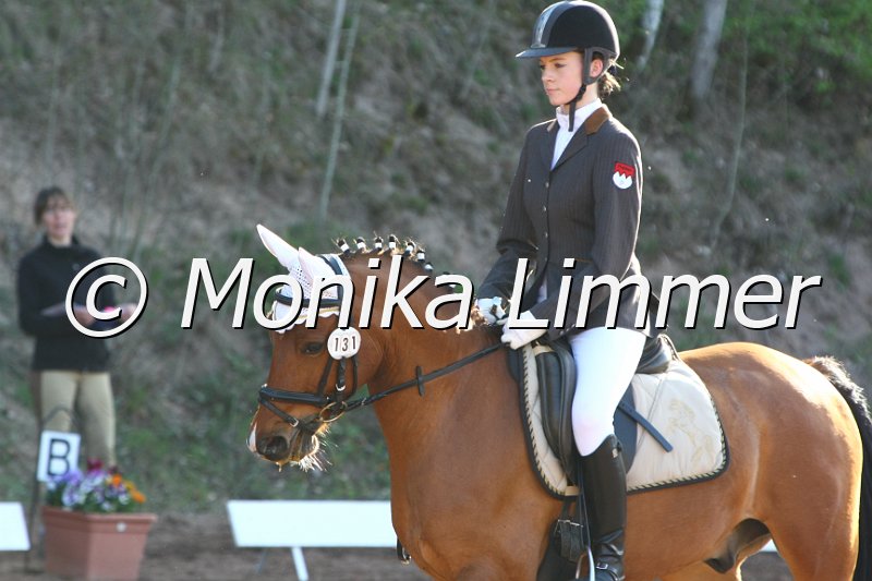 204M7378_Good lucky boy_Dressur_L.JPG